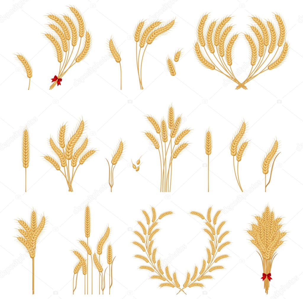 Wheat ears icons