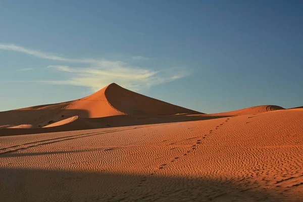 Sand dune, Sahara Desert. — Stock Photo, Image