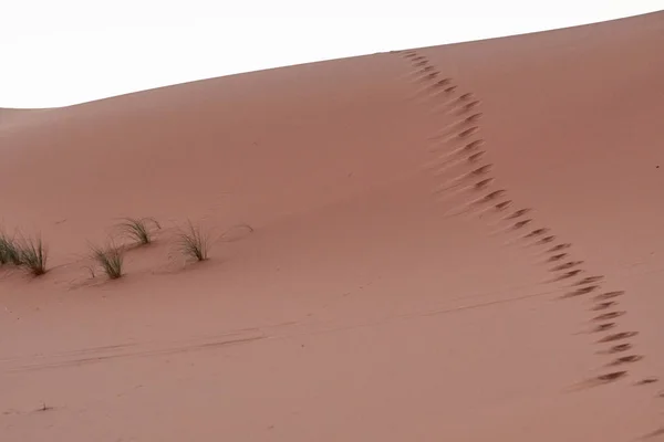 Çölde kum üzerinde ayak izleri — Stok fotoğraf