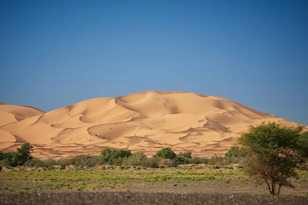 Merzouga büyük kumul, mükemmel manzara — Stok fotoğraf