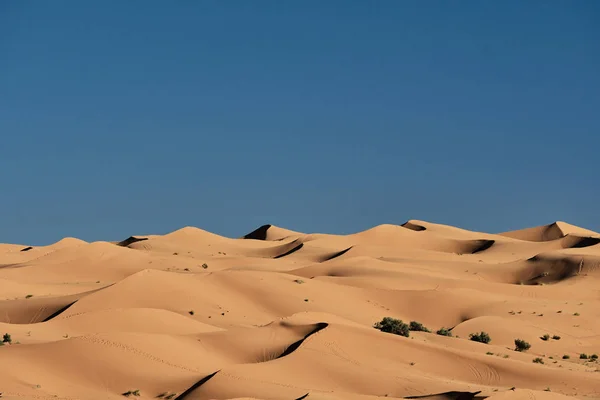 Mavi gökyüzü olan çöl manzarası — Stok fotoğraf