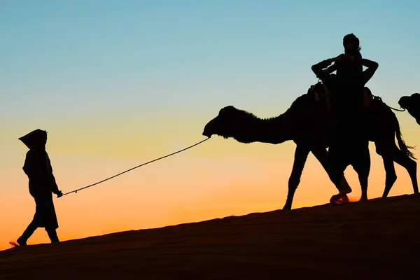 Merzouga, Marruecos - 03 de diciembre de 2018: puesta de sol de camellos retroiluminados —  Fotos de Stock