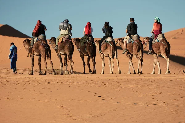 Merzouga, Marocco - 05 dicembre 2018: escursione in cammello nel me — Foto Stock