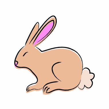 Anahat çizme tavşan