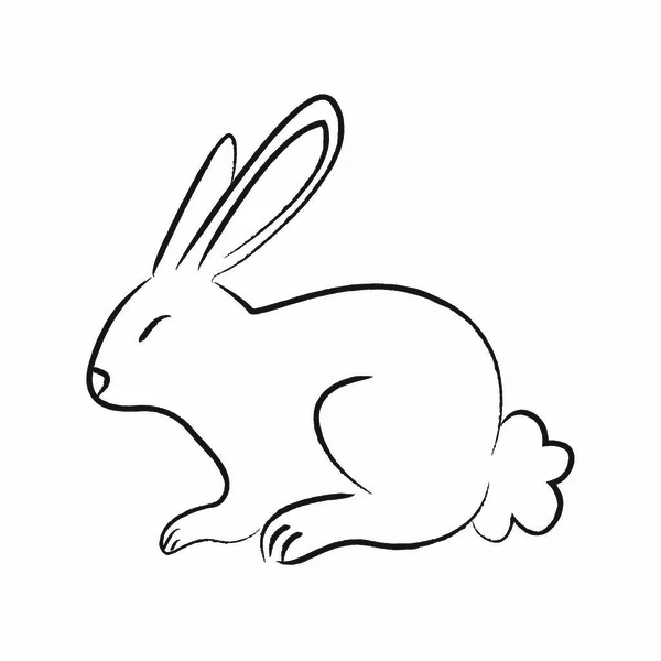 Outline draw rabbit — Stock Vector