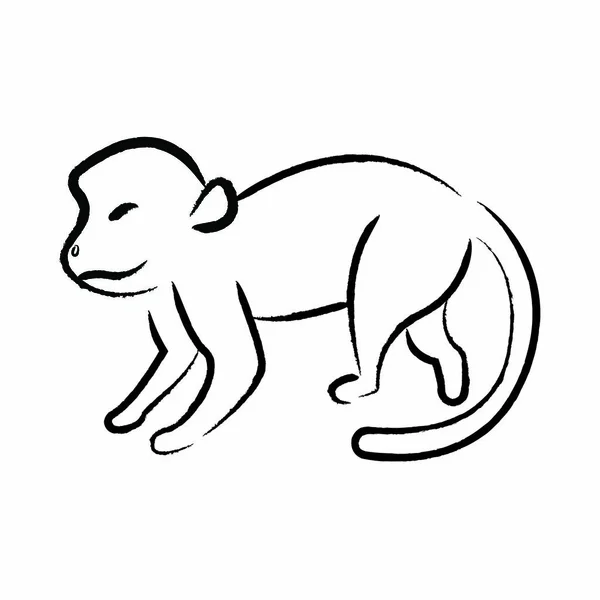 Umrisse zeichnen Affen — Stockvektor