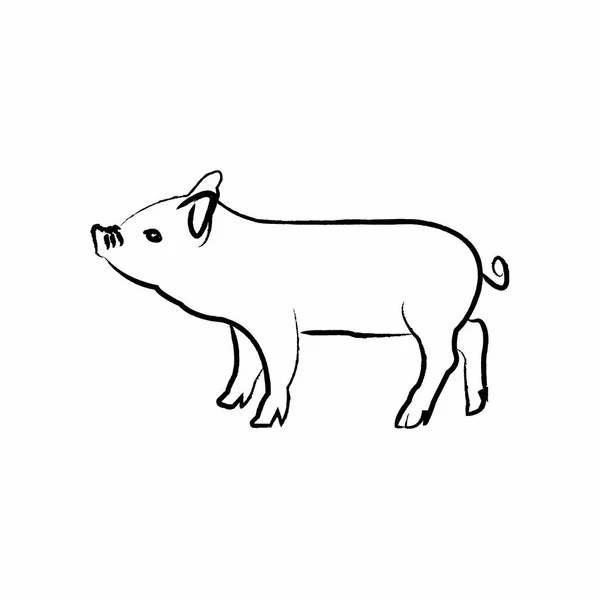 Outline draw pig — Stock Vector