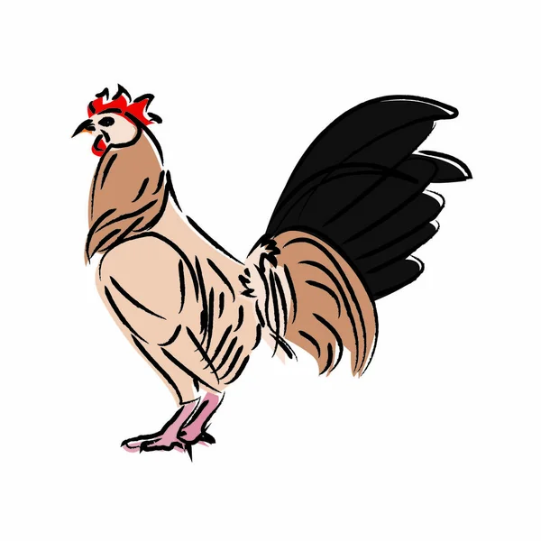 Tracer le poulet — Image vectorielle