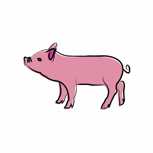 Skizzenschwein — Stockvektor