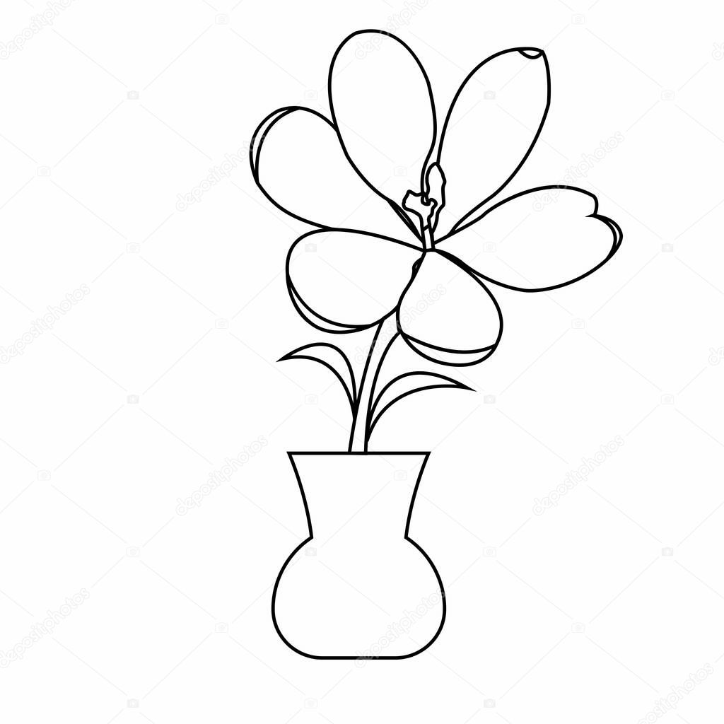 Cute drawing plant