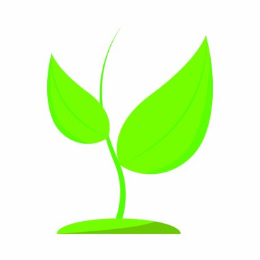 yalıtılmış okul nesne