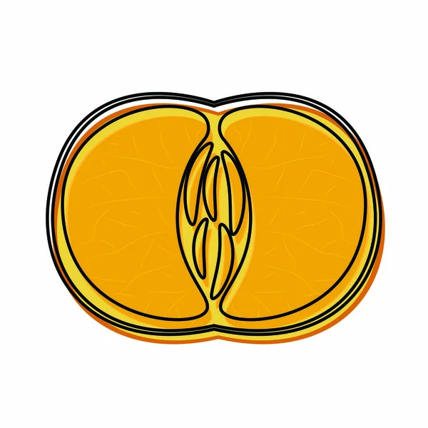 Изолированный вырезанный мандарин — стоковый вектор
