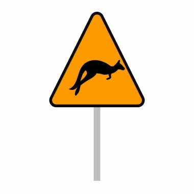İzole koala yüz