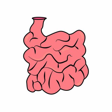 Soyut insan ince bağırsak