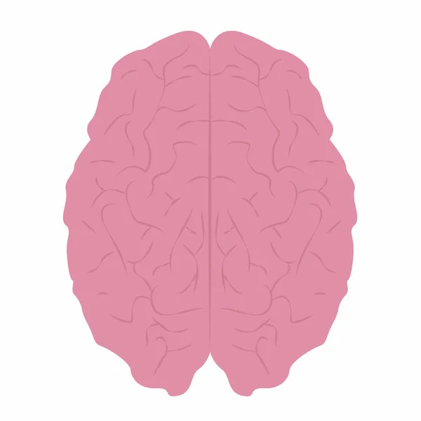 Otak manusia abstrak - Stok Vektor