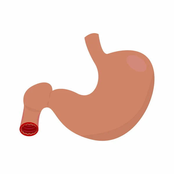 Abstracto estómago humano — Vector de stock