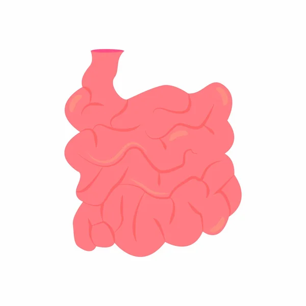 Abstrato intestino delgado humano — Vetor de Stock