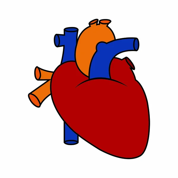 Corazón humano abstracto — Vector de stock