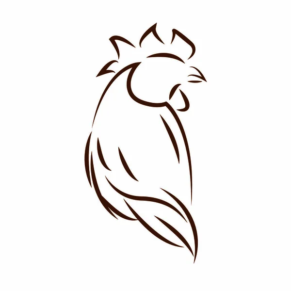 Cute chicken draw — Stock Vector