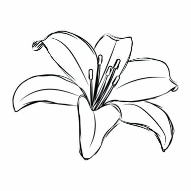 Soyut sevimli çiçek