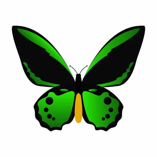 Abstraer mariposa linda — Vector de stock