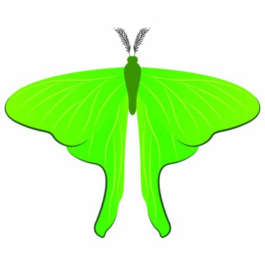 Abtract sevimli kelebek