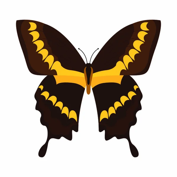 Abstraer mariposa linda — Vector de stock