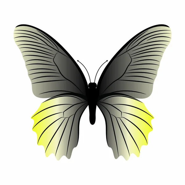 Abtract cute butterfly — Stock Vector