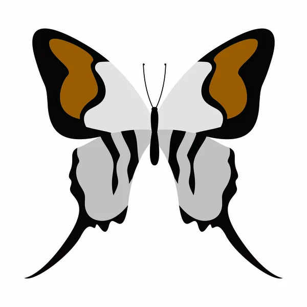 Abstraer mariposa linda — Vector de stock