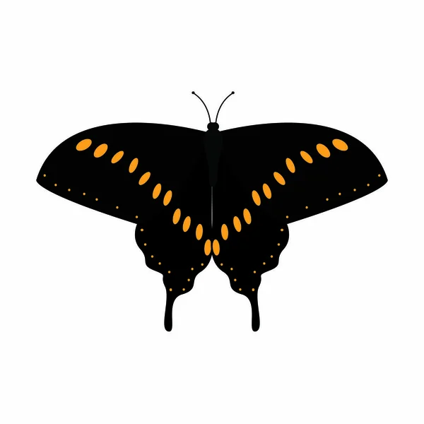 Abtract cute butterfly — Stock Vector