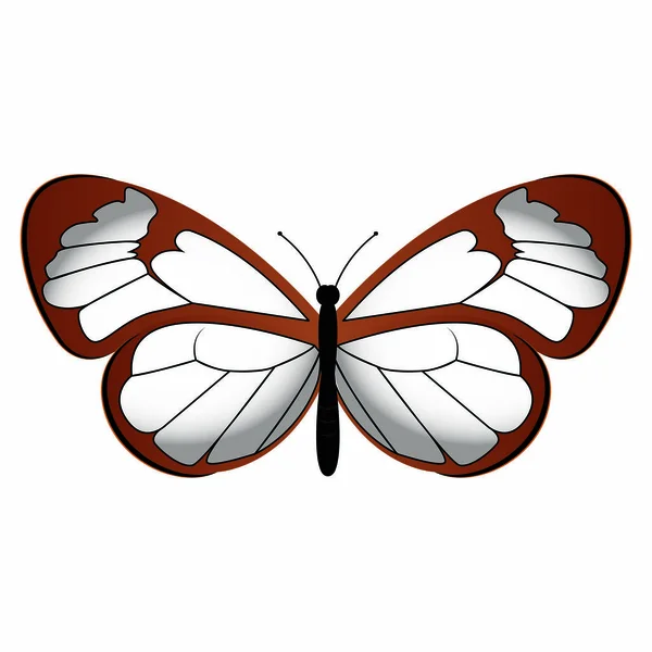 Atrair borboleta bonito —  Vetores de Stock