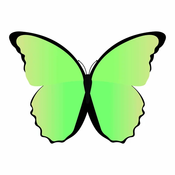 かわいい蝶をアブトラクト — ストックベクタ