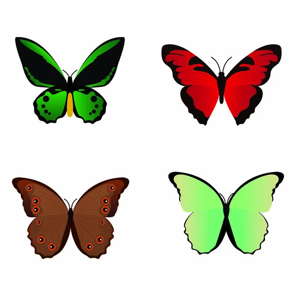 Rozkošný motýl — Stockový vektor