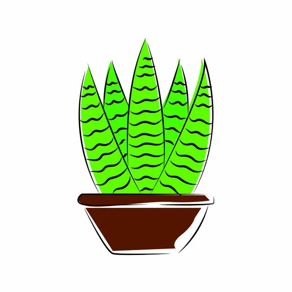 Abstract cute cactus — Stock Vector