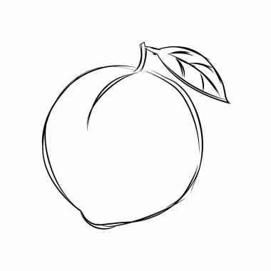 Delucious meyve çizim