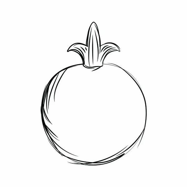 Delucious fruit tekening — Stockvector