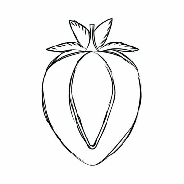 Delucious meyve çizim