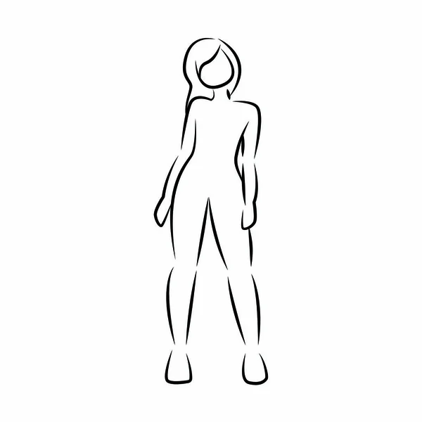 Dibujo corporal de las mujeres — Vector de stock