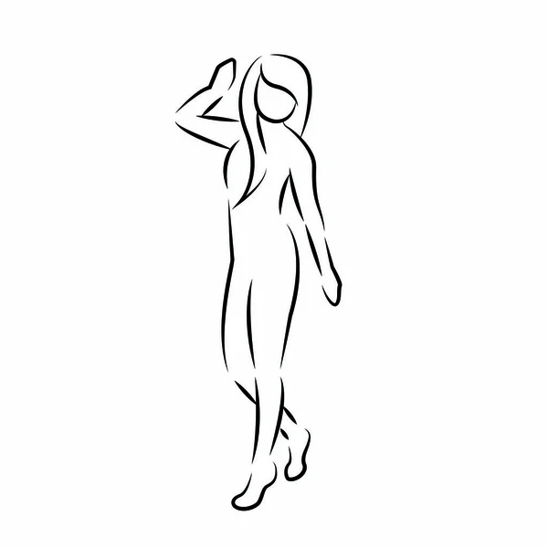 Mulheres desenho do corpo — Vetor de Stock