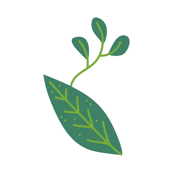 Icono de hoja aislada — Vector de stock