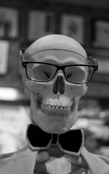 White skull sculpture in black glasses for sight and black bow tie. Educational material. — Stock Photo, Image