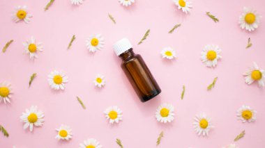 Düz kompozisyonda papatya çiçekleri, taç yaprakları ve pembe zemininde gerekli yağı bulunan küçük cam şişeler yatıyordu. Spa, organik, vegan kozmetik konsepti. Romaterapi ve bitkisel ilaç malzemeleri.