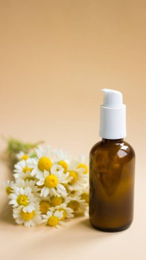 Kozmetik şişe krem ve serum aroma yağı ve papatya çiçekleri açık bej arka planda. Doğal, organik, biyolojik, vegan kozmetik konsepti. Spa, bitkisel ilaç malzemeleri..