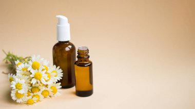 Papatya çiçekleri, kozmetik krem şişeleri ve açık bej aromalı serum yağı. Doğal, organik, biyolojik, vegan kozmetik kavramı. Spa, aromaterapi ve bitkisel ilaç malzemeleri.