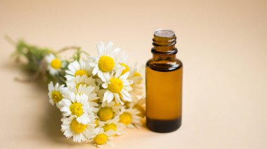 Açık bej arka planda taze papatya çiçekleri olan küçük bir bardak papatya yağı. Papatya çiçekleri, yaklaşın. Kozmetik, spa, aromaterapi ve bitkisel ilaç malzemeleri.