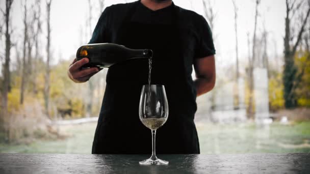 Man Poring White Wine Glass Blurry Background — Stock Video