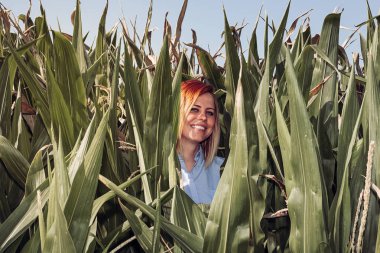 Yaz aylarında yeşil bir mısır tarlasının ortasında gülümseyen güzel kızıl saçlı bir kadının portresi