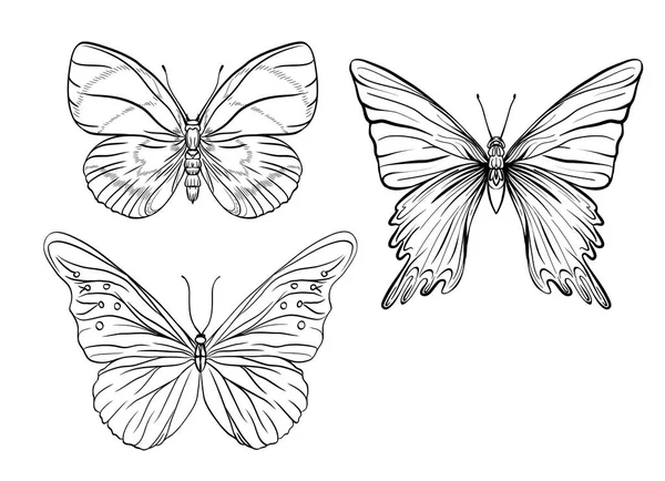 Conjunto de imagens de contorno de uma borboleta . — Vetor de Stock
