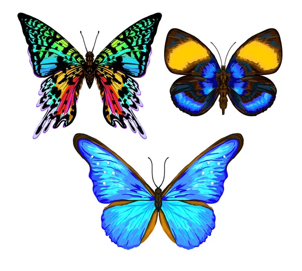 Set van kleurenafbeeldingen van een vlinder. Hand getekende kleurrijke vector ik — Stockvector