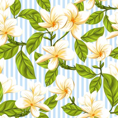 Dikişsiz desen, arka plan beyaz plumeria bitki ile